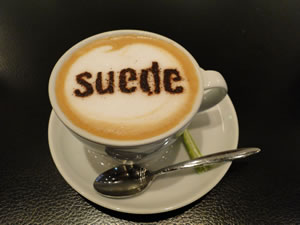 ɡ饤DVDȯ䵭ǰcafe de suedeפŹ