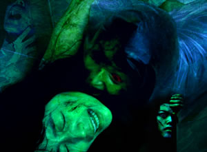 ���ѥ����о졢BeeTV�ر������� ��κǴ��򸫥ƥ����������ۿ���ǰ�ǥ˥����ȥ����