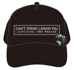 ポリス / サヴァイヴィング・ザ・ポリス