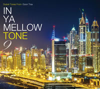 IN YA MELLOW TONE٥꡼ǿȯ䡢ĥ