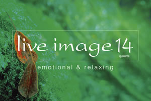 live image 14-quatorze-Ӥ4ȡ饤ʥåפȯɽ