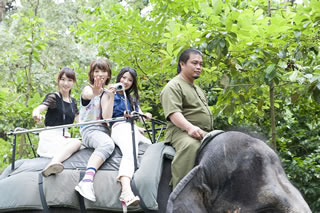 クリックすると大きな画像が表示されます