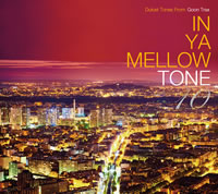 IN YA MELLOW TONE٥꡼BOXåȡ2ȥ٥LPо