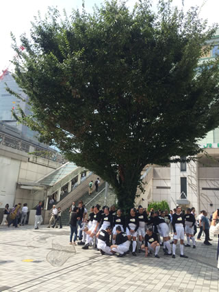 クリックすると大きな画像が表示されます