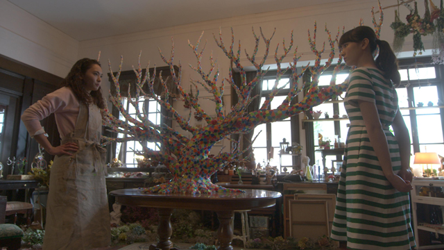 クリックすると大きな画像が表示されます