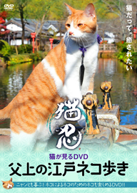 「猫忍」に出演している猫、“金時”のDVDが登場