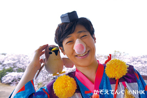 「おかあさんといっしょ」“かぞえてんぐ”のオリジナルDVD発売　コメントも公開