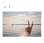 王舟の1stアルバム『Wang』から代表曲「Thailand」のMVが公開