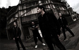 SYBREED
