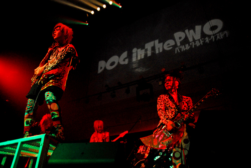 DOG inTheѥɥȥĶROCKET