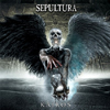 ֥饸ɽSEPULTURA˥塼Х꡼