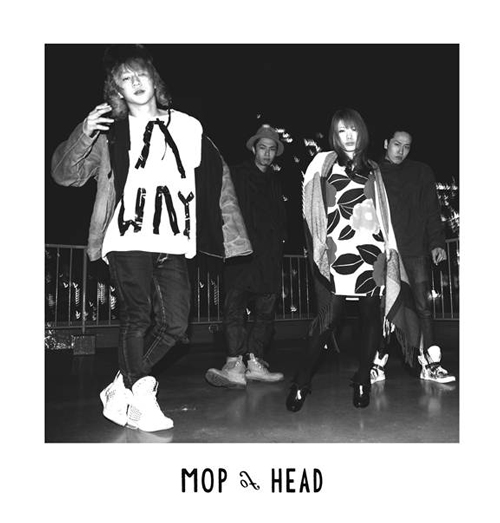 Mop of Head