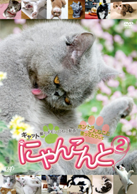おもしろ猫動画集『にゃんこんと』第2弾の試写会＆トークイベントに池田鉄洋＆ワタナベイビー登場