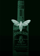 ֥ॽ׼šJAMESON CULT FILM CLUBӤ GARDENˤƳ