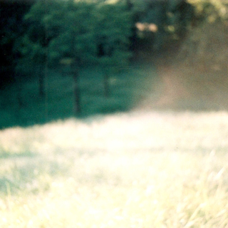 ����å�������礭�ʲ�����ɽ������ޤ�