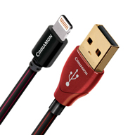 AudioquestUSB Lightning硼ȥ֥뿷ȯ