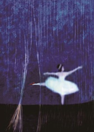 昆虫キッズ、最終公演の模様を捉えた映像作品『BLUE GHOST remind』をリリース