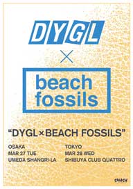 DYGLBEACH FOSSILS奫åץ󥰡ĥ򳫺