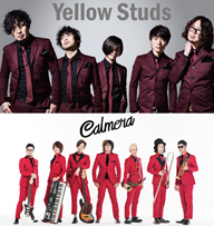 Yellow StudsCalmeraVRࡼӡ֤錄餢ʤءդϤʤפ˼Τ