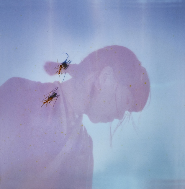 ɽ