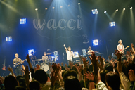 wacciの全国ツアーがスタート　ファイナルはパシフィコ横浜メインホールに決定