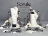 إ֥ɡSoruleʥˡCM󥰤JO1񤭲οʡAquaסۿ꡼