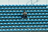 ȥåᥤTomgggLAΥμRyahnȤζRoller Coasterפ꡼
