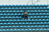 Tomggg、raychel jayをフィーチャーした「Sweet Romance」をリリース