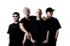 MONKEY MAJIK14thХCIRCLES٥꡼ĥ
