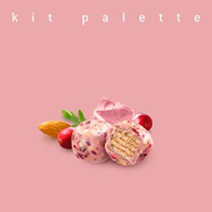  åȥåȿʤΤ˽񤭲ʡkit paletteפۿ꡼