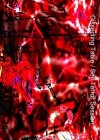 Dissecting Table、『Self Terror Session』を再リリース
