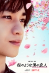Mr.Children、Netflix映画『桜のような僕の恋人』主題歌を担当　本予告＆キャラクターアート公開