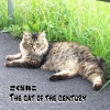 إ᥿롦󥬡ȤͤɡХThe cat of the century٥꡼