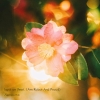 Apneumo、I Am Robot And Proudとのコラボ曲を配信リリース