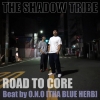 THE SHADOW TRIBEХO.N.OӡȤݤROAD TO COREۿ