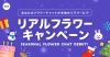 感謝の気持ちをAWAが配信者に直接お届け　『推しにリアルな花束を届けよう！リアルフラワーキャンペーン』開催