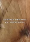 マウリツィオ・ビアンキ、SACHER-PELZ名義とM. B.名義のスプリットCDRをリリース
