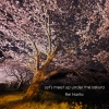 成田玲、「Let’s meet up under the sakura」を配信リリース