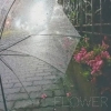 MarbyRIN a.k.a ӰDΥܡ󥰥Flowerפ꡼