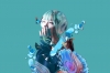 ͤ轡˥塼󥰥֤Ĥ֤ˤʤץ꡼饸ѥץ쥤¿