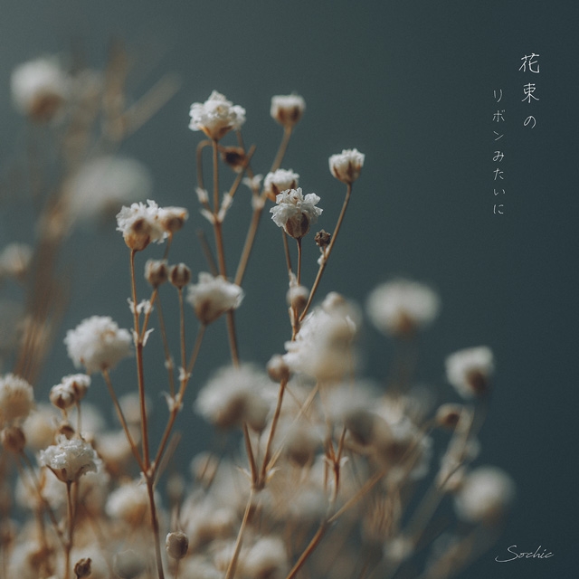 ɽ
