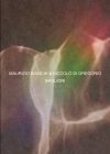 マウリツィオ・ビアンキ＆NICCOLÒ DI GREGORIO、コラボ・アルバム『BAGLIORI』をリリース