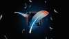LITEEndless BlueMVSTRATA (Preview)٤Υʥȯ