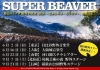 SUPER BEAVERĥγŤȯɽĥեʥĹΰ𺴻ǥޥ