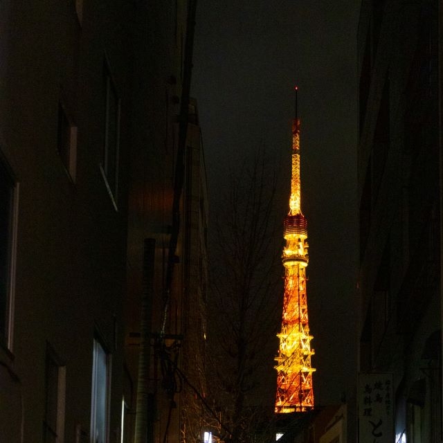 ����ɽ��