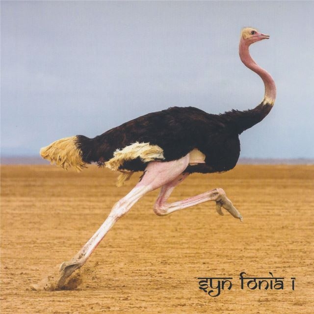 ����ɽ��