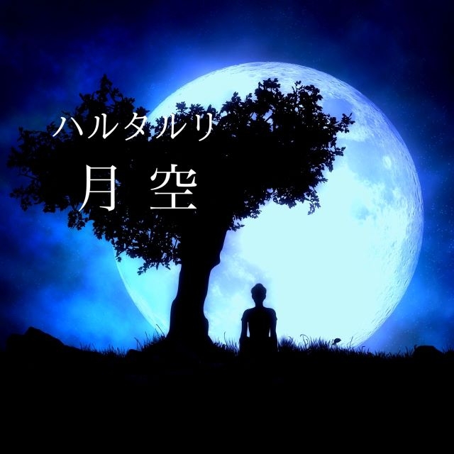 拡大表示