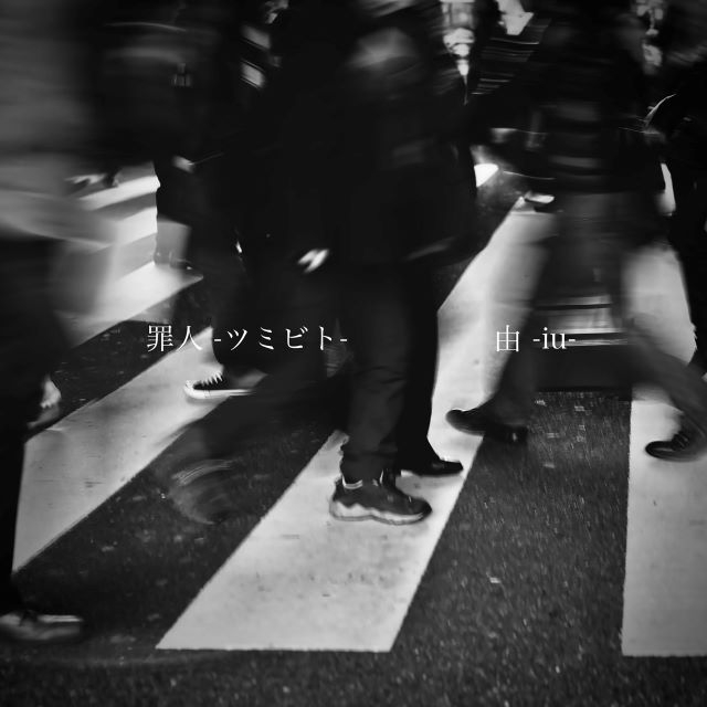 拡大表示