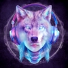 XGǿXDM Unidentified Waves٥꡼ʥȡ奢饤