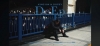 åѡKING104ХNo Rain, No Rainbow٤DeEpMVǡ